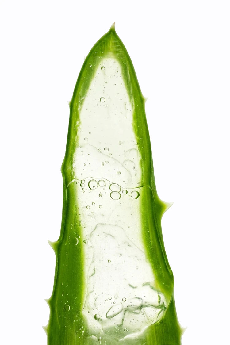 Aloe Vera – Inhaltsstoff im 90-Tage Hautbalance System von healthAesthetics+