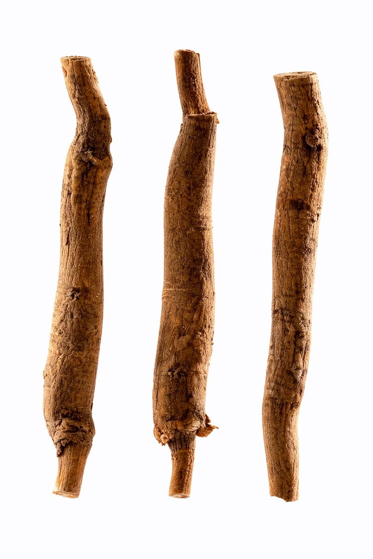 Ashwagandha – Inhaltsstoff im 90-Tage Hautbalance System von healthAesthetics+