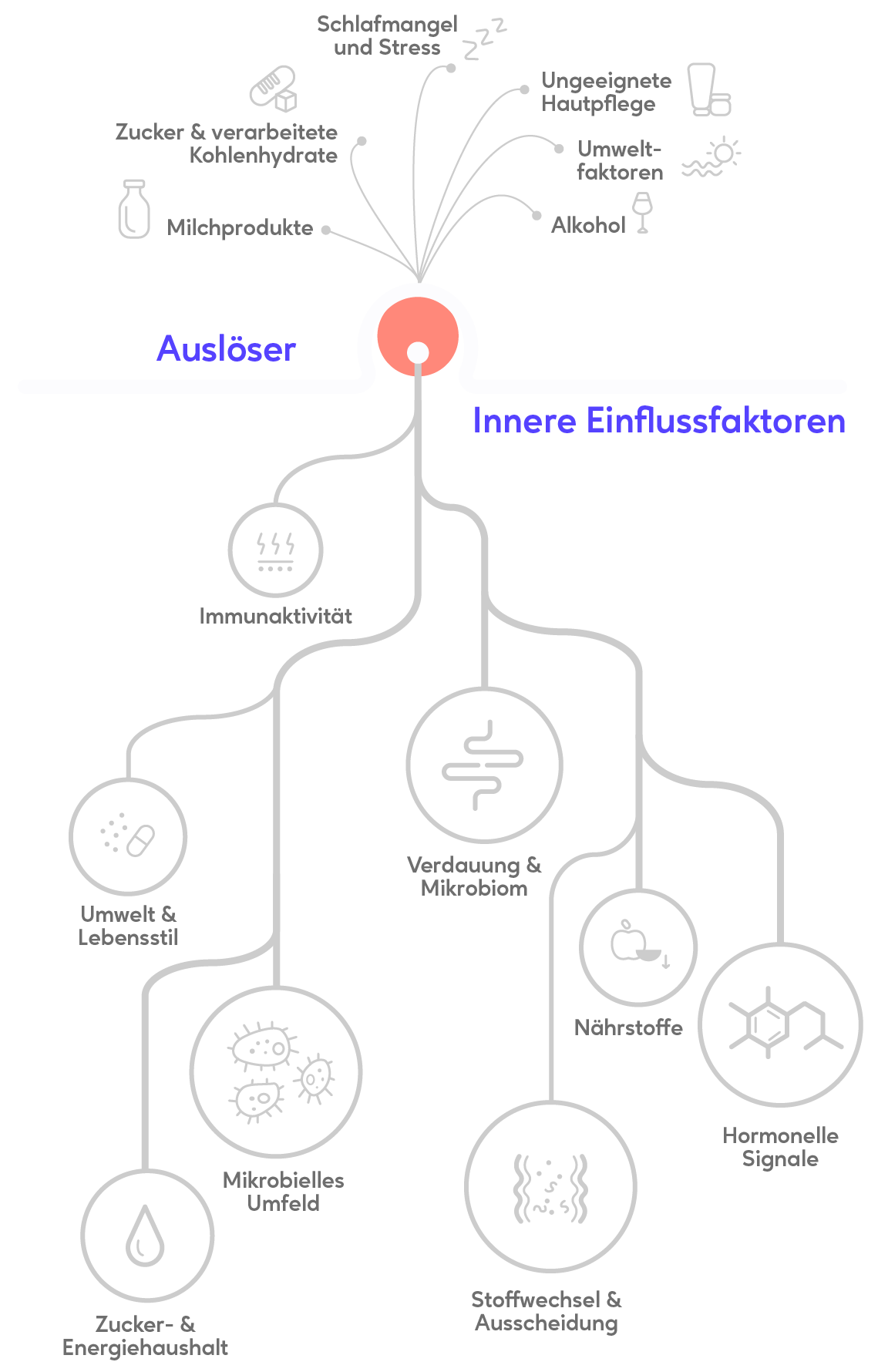 Der systemische Ansatz von healthAesthetics+ – Mobile Darstellung Teil 2