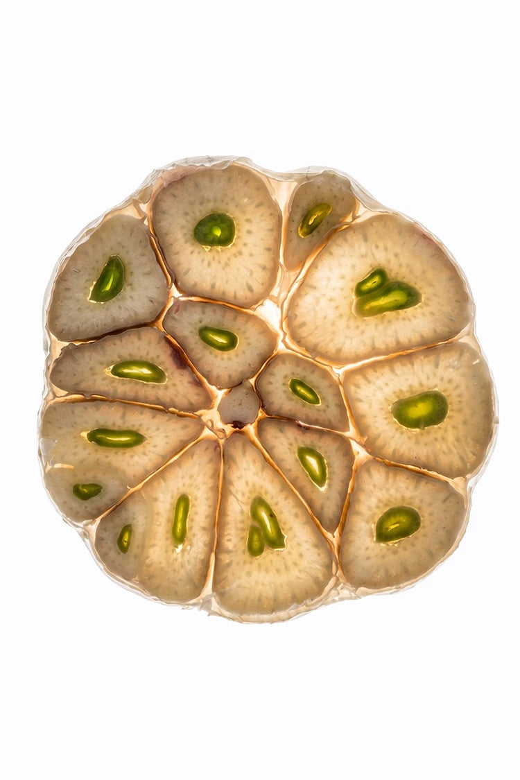Knoblauch-Extrakt – Inhaltsstoff im Hautbalance System von healthAesthetics+