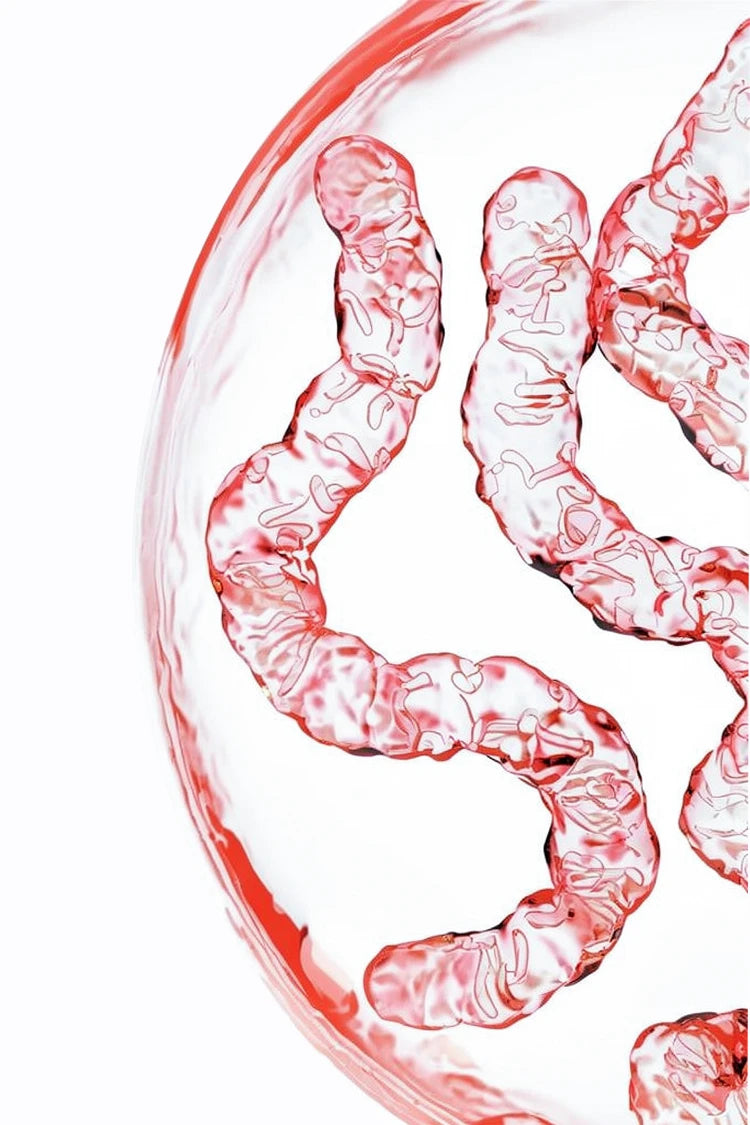 Mikrobielles Umfeld als Funktionssystem – systemische Darstellung im healthAesthetics+ Ansatz