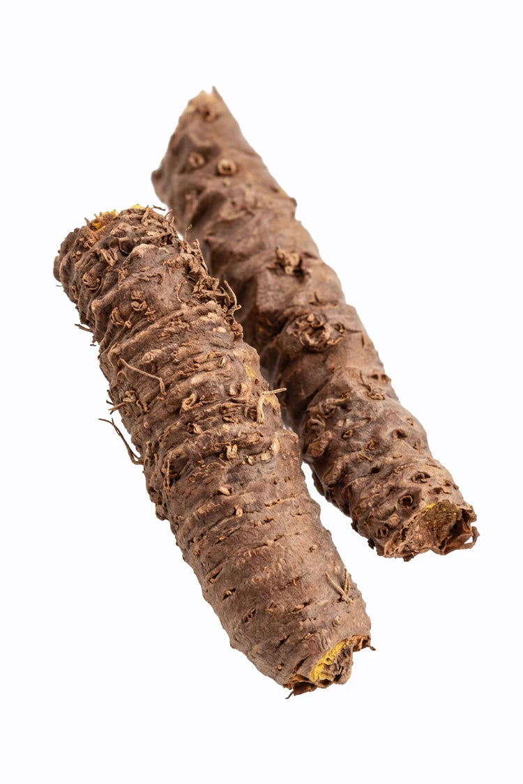 Rhodiola Rosea Wurzel – Inhaltsstoff im 90-Tage Hautbalance System von healthAesthetics+