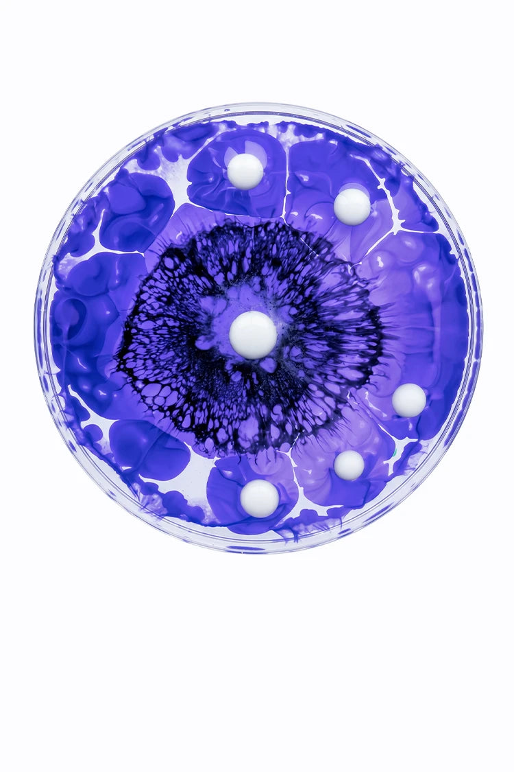 Saccharomyces boulardii – Darm-Unterstützung im Hautbalance System von healthAesthetics+