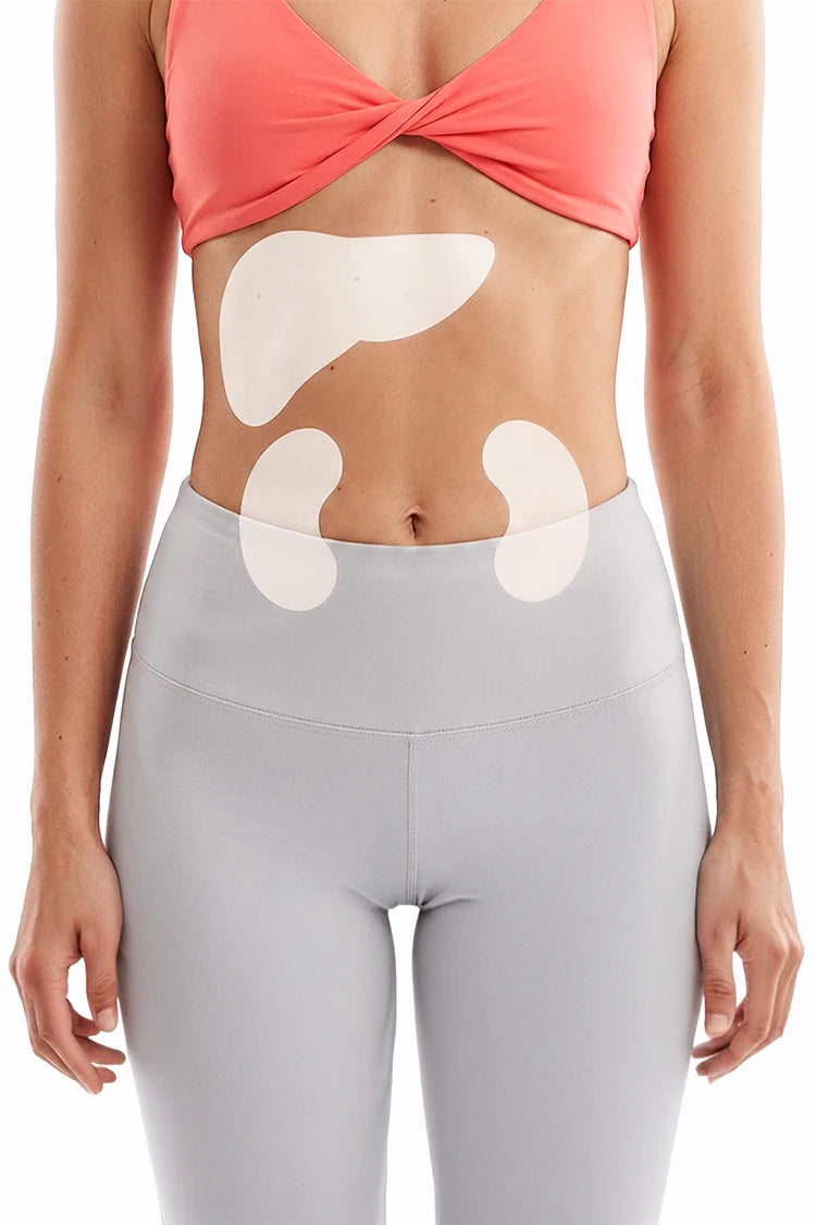 Stoffwechsel und Ausscheidungsprozesse – Funktionssystem im 90-Tage Hautbalance System