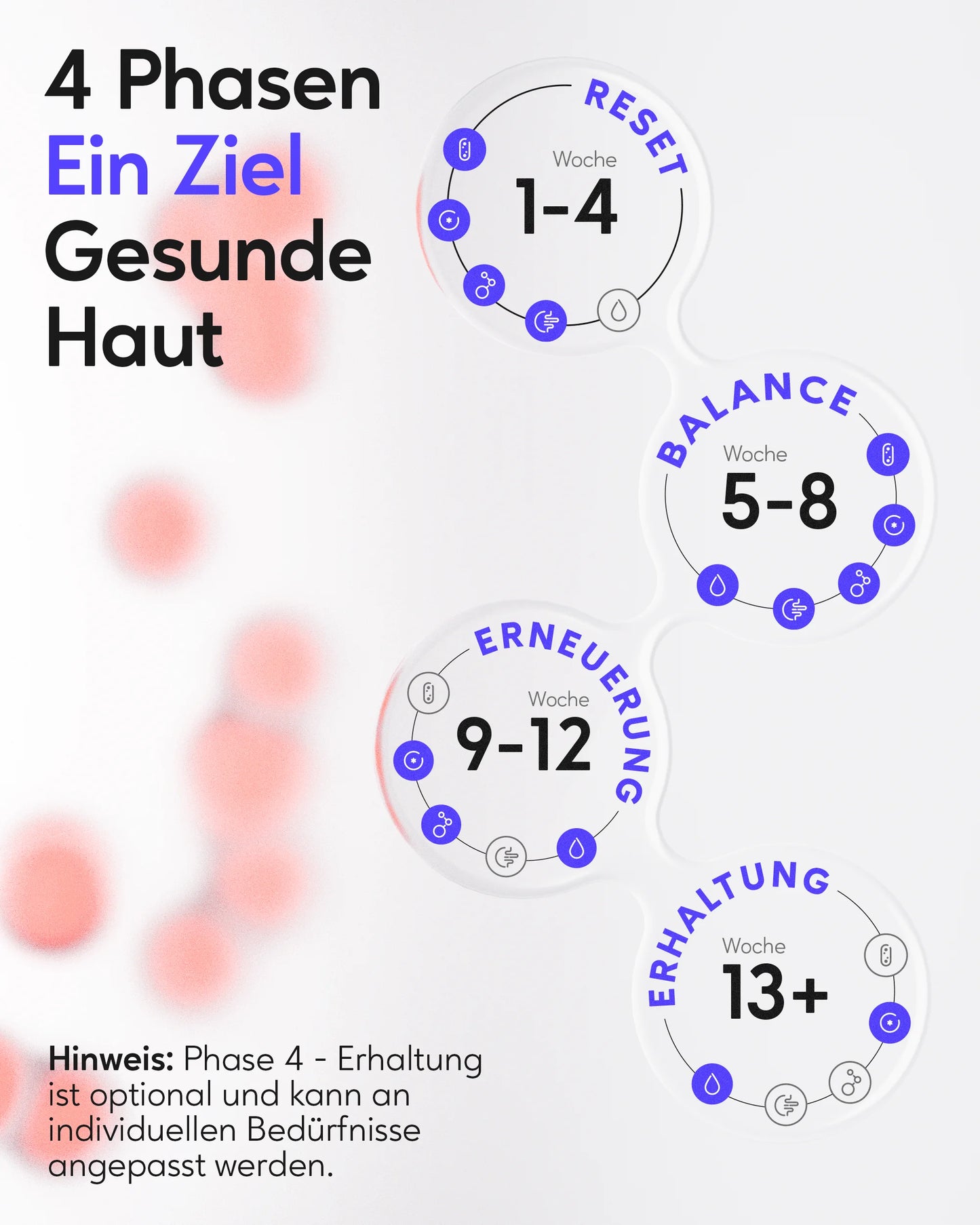 healthAesthetics+ 90-Tage Hautbalance System – systemischer Ansatz bei hormonellen Unreinheiten