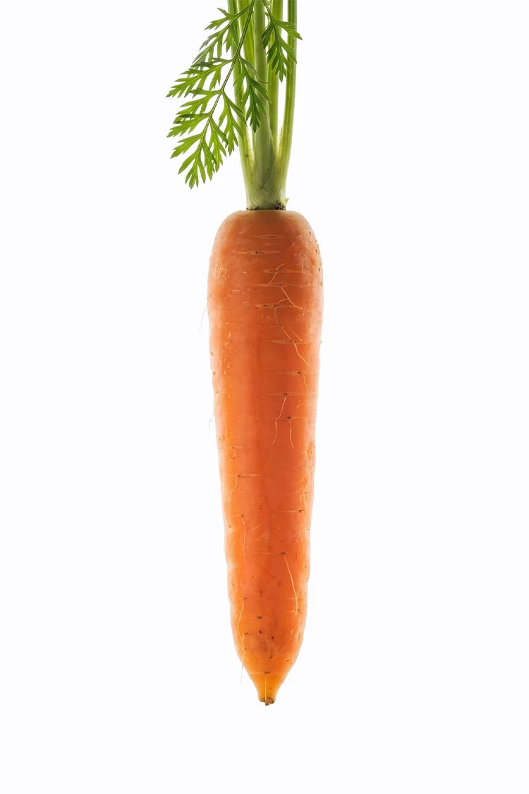 Vitamin A trägt zur Erhaltung normaler Haut bei – Inhaltsstoff im Hautbalance System von healthAesthetics+